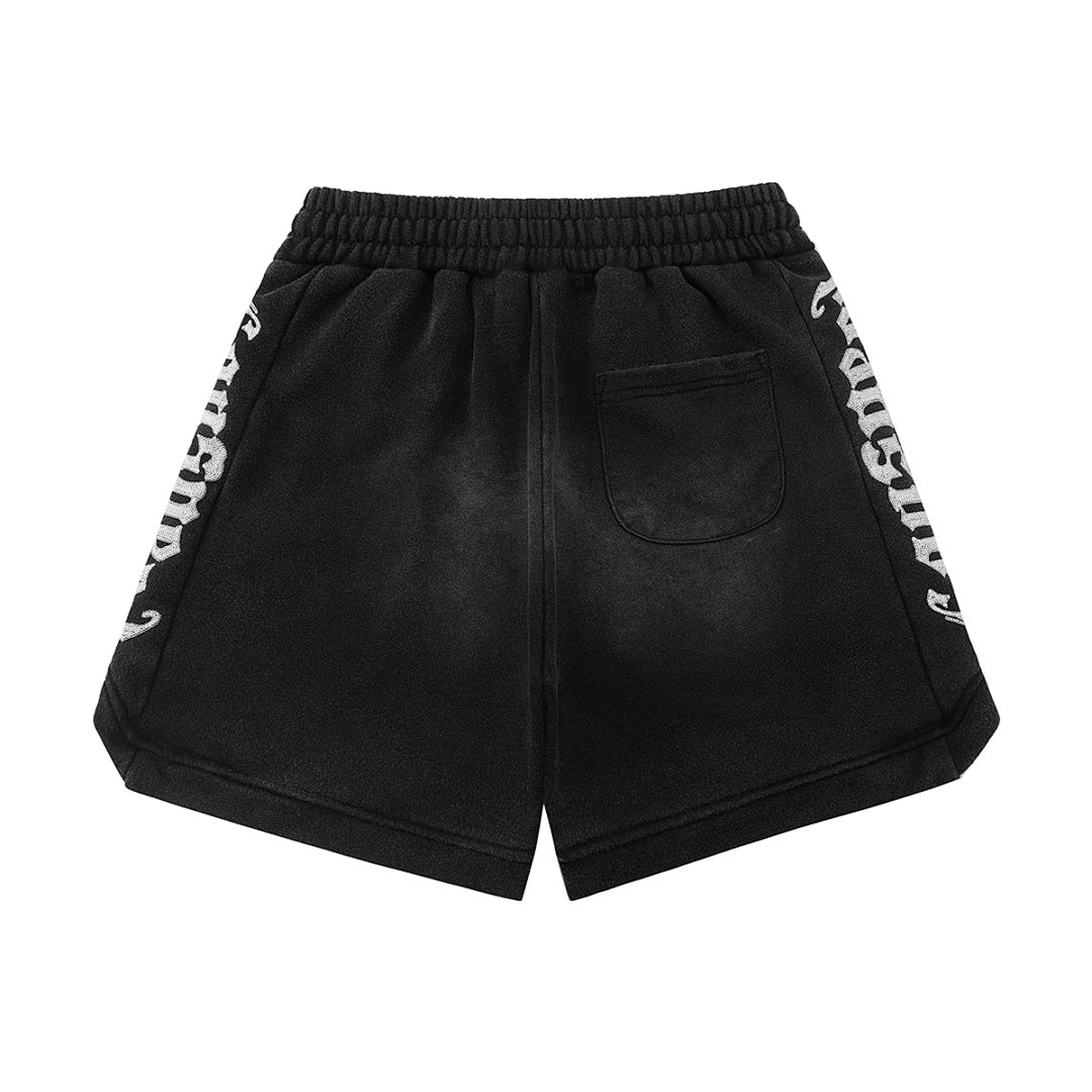 GODSPEED Multi-Color Everyday Sports Shorts